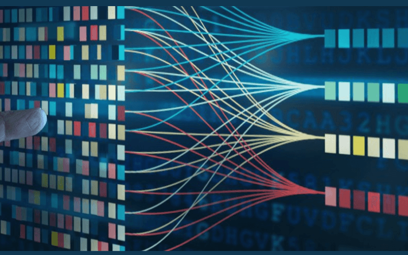 Visualisation